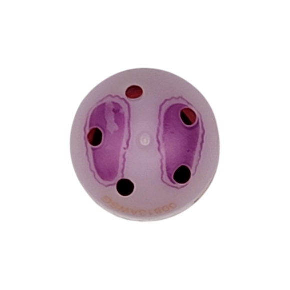 Mighty Beanz Bird Lady Bean #118 Series 2 - Moose 2010 - Picture 4 of 4